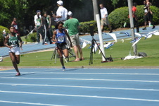 Enlarge photo 245