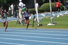 Enlarge photo 246