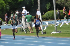 Enlarge photo 247