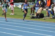 Enlarge photo 254