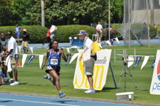 Enlarge photo 258