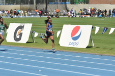 Enlarge photo 264