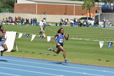 Enlarge photo 268