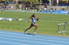 Enlarge photo 272
