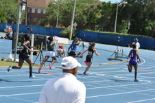 Enlarge photo 284