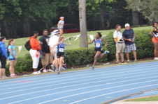 Enlarge photo 315