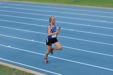 Enlarge photo 341