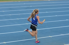 Enlarge photo 348