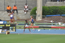 Enlarge photo 422