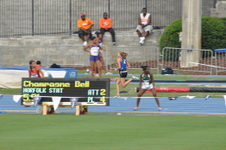 Enlarge photo 423