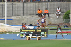 Enlarge photo 428