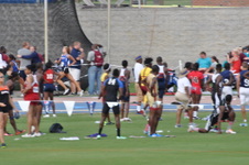 Enlarge photo 433