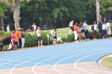Enlarge photo 457