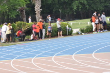 Enlarge photo 453