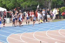 Enlarge photo 461