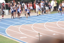 Enlarge photo 462