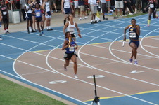 Enlarge photo 463