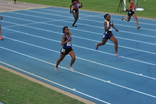 Enlarge photo 478