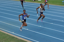 Enlarge photo 477