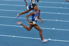 Enlarge photo 484