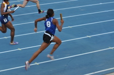 Enlarge photo 489