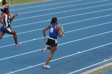 Enlarge photo 487