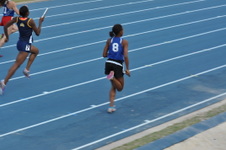 Enlarge photo 488