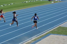 Enlarge photo 495
