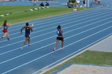 Enlarge photo 493