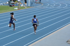 Enlarge photo 497