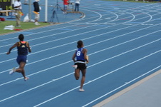 Enlarge photo 499