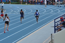 Enlarge photo 509