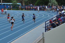 Enlarge photo 507