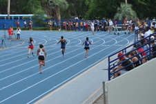Enlarge photo 508