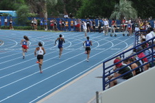 Enlarge photo 512