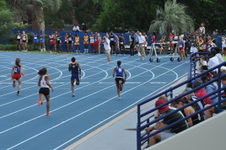Enlarge photo 511