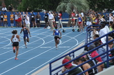 Enlarge photo 516