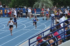 Enlarge photo 519