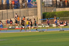 Enlarge photo 542