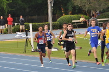 Enlarge photo 545