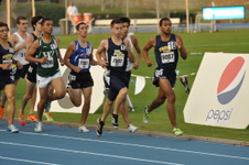 Enlarge photo 871
