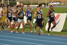 Enlarge photo 872