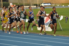 Enlarge photo 873