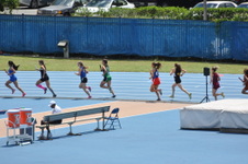 Enlarge photo 59