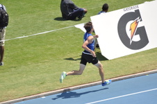 Enlarge photo 93