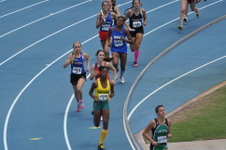 Enlarge photo 115