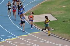 Enlarge photo 131