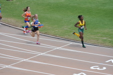 Enlarge photo 141
