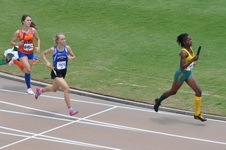 Enlarge photo 143