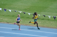 Enlarge photo 149